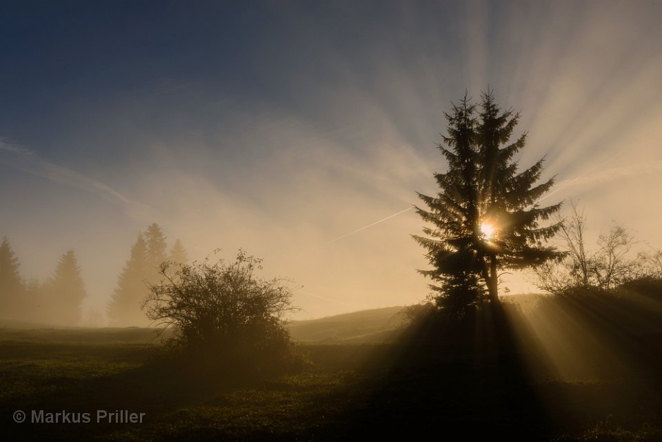 2013.10.31 092010 Auerberg und Königsschlösser Herbst